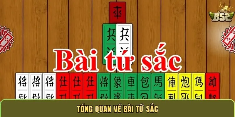 tong-quan-ve-bai-tu-sac