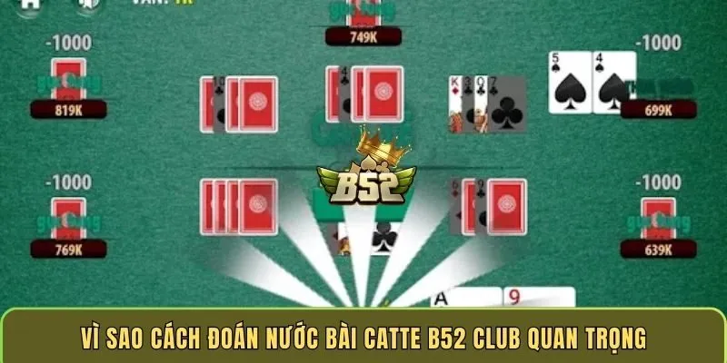 vi-sao-cach-doan-nuoc-bai-catte-b52-club-quan-trong